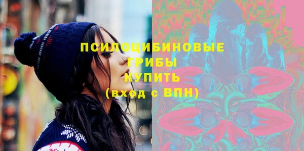 винт Богородицк