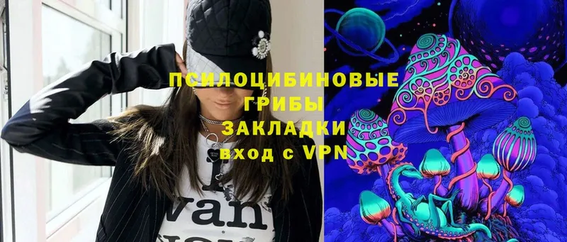 Галлюциногенные грибы Cubensis  Гвардейск 